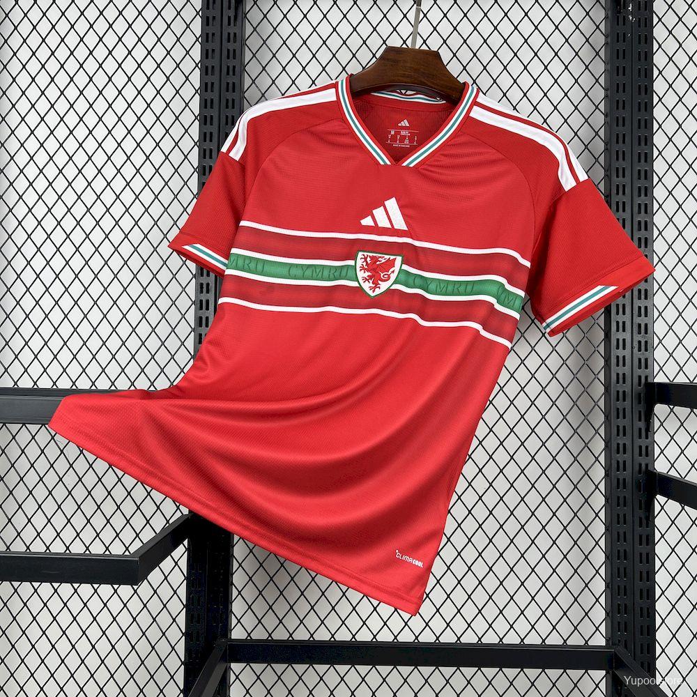 Wales Men's Jersey (Home)