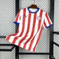 Paraguay Men's Jersey (Home)